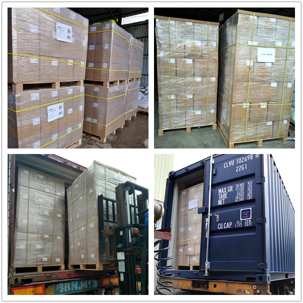 Bolsa protectora antiestática